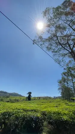 Popin X pepas Slowmo