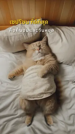 ที่นอนและวันหยุดคือดีสุด