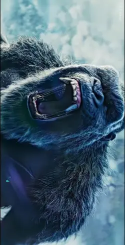 KINGKONG 4K EDIT