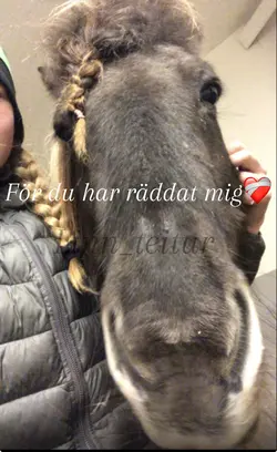 Räddat mig❤️🩹
