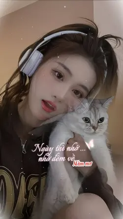 ải hồng nhan remix