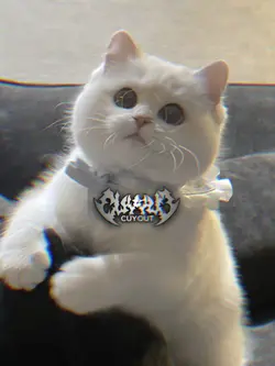 did i stutter slowed