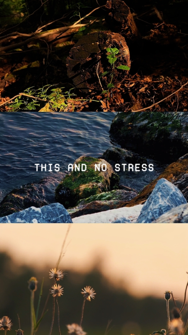 3 CLIPS DE PAYSAGE!