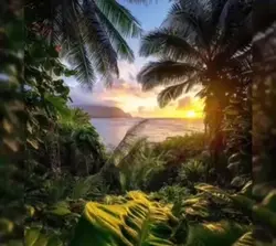 Paradise