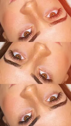 LASH TRANSITION 