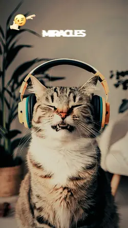 lirik estetik