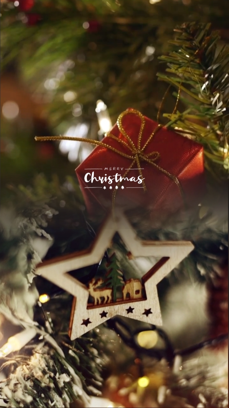 Merry Christmas 