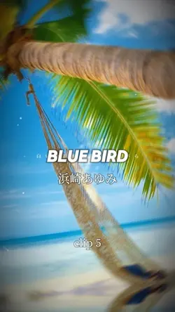 BLUEBIRD