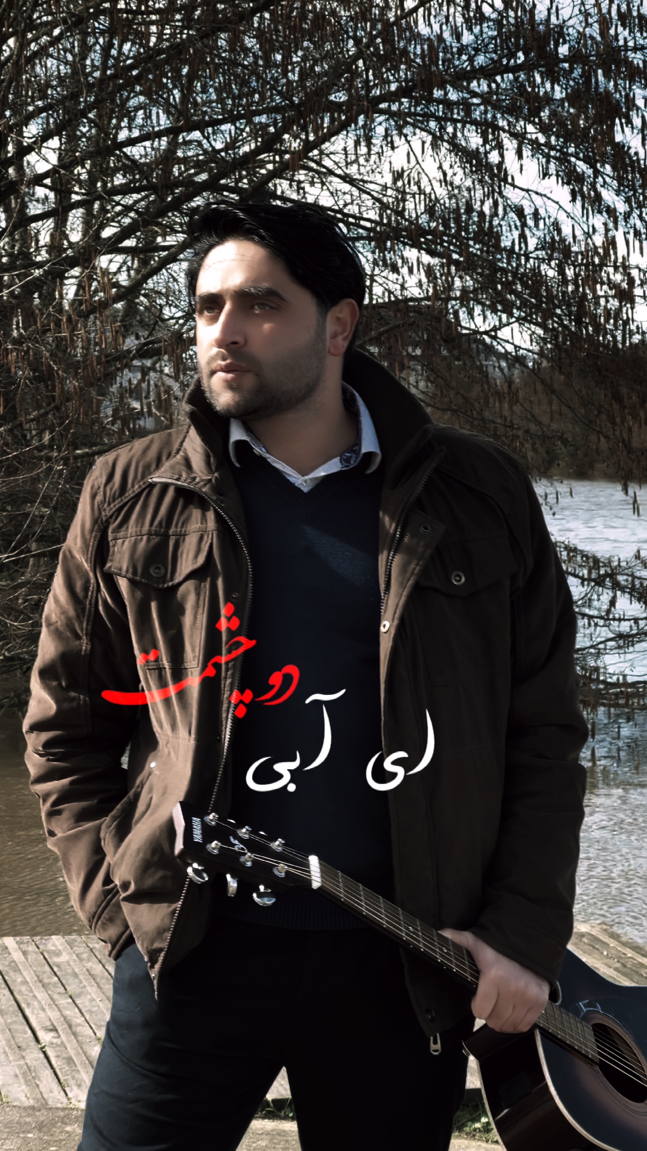Cover Picture