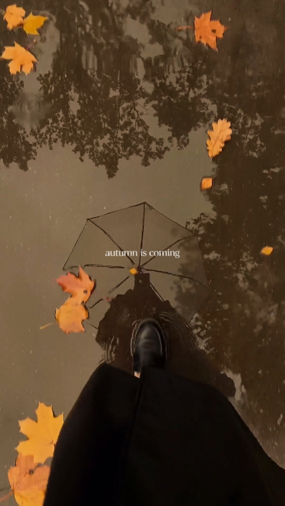 autumn is coming