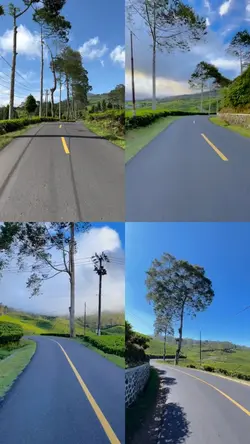 Layout 4 videos