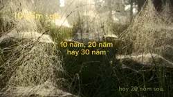 10 năm sau