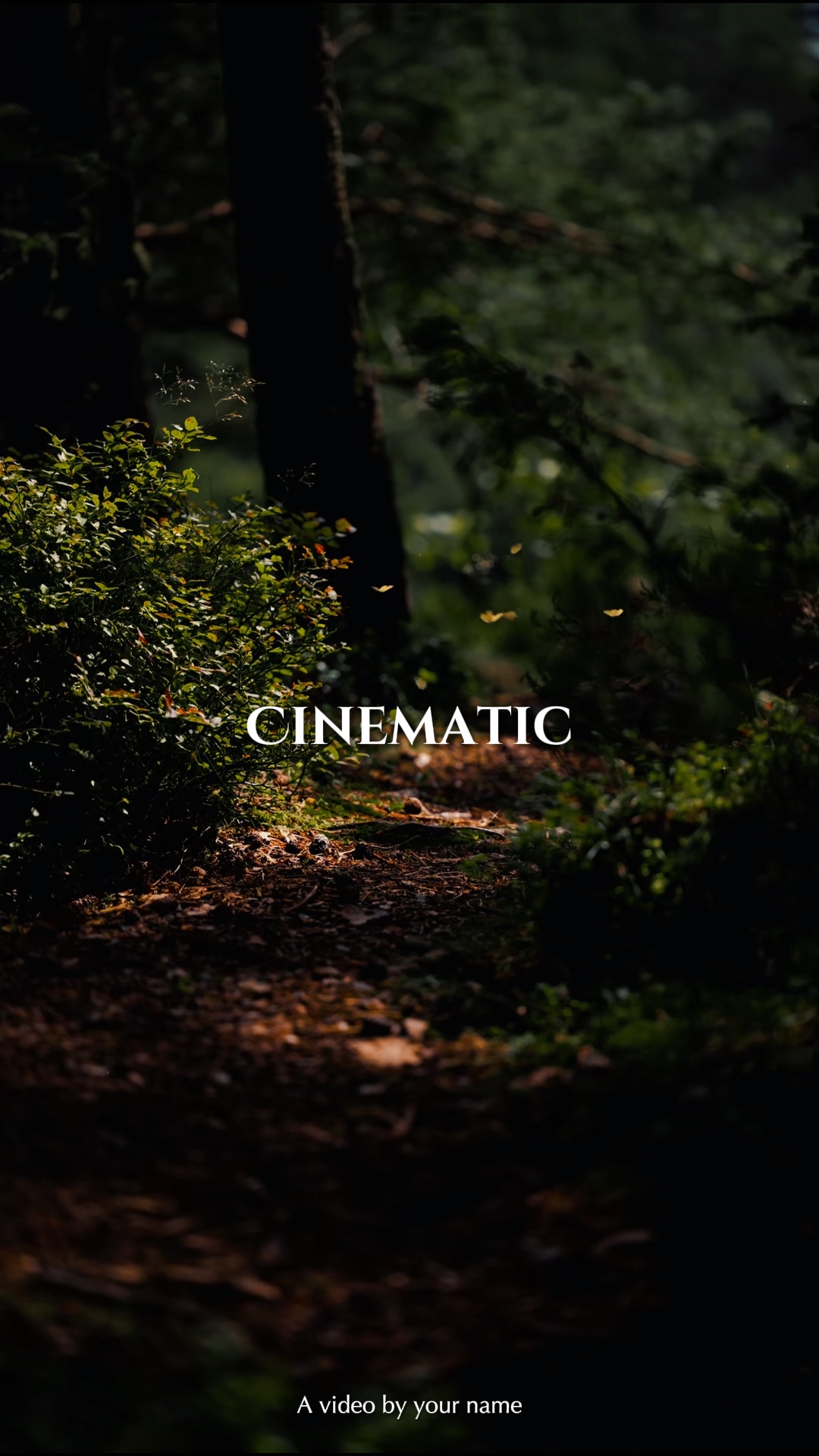 CINEMATIC 10 clips