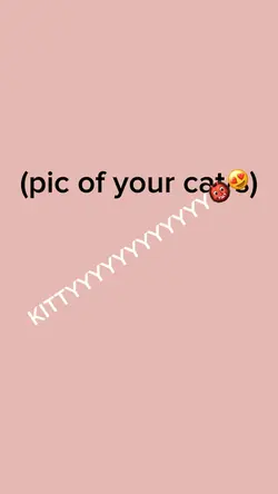 KITEEHHHπΉ