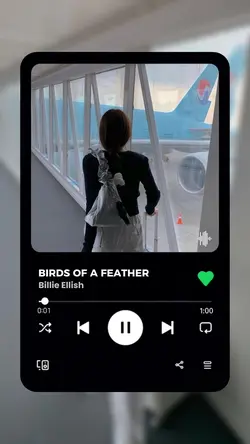 Frame spotify