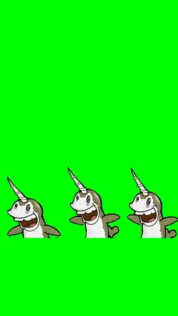 NARWHALS SWIMMING