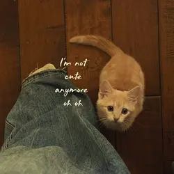iam not cute anymore
