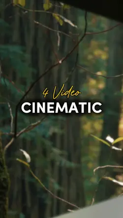 4 Video Clips