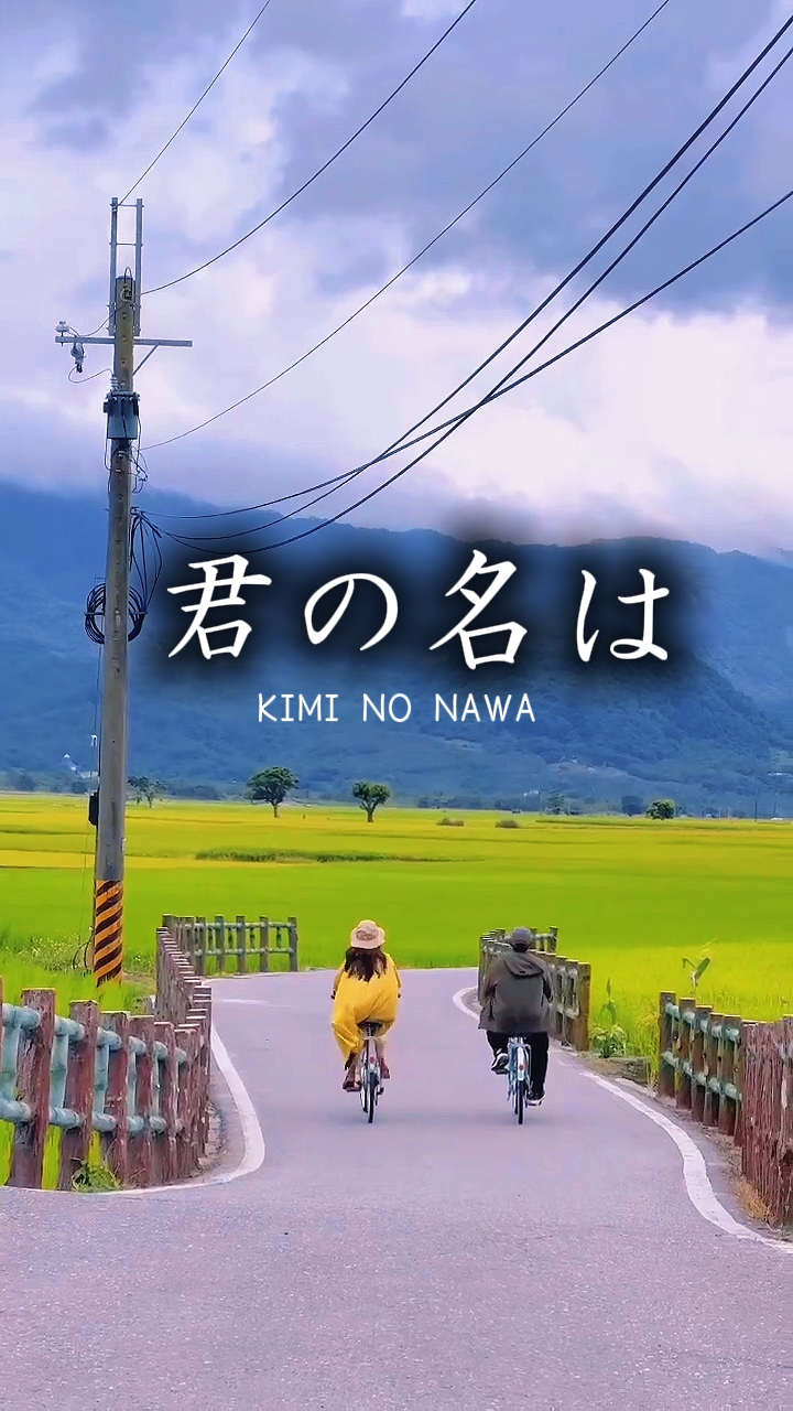 Kimi no nawa US