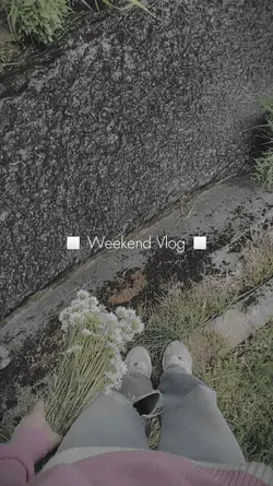 Aesthetic