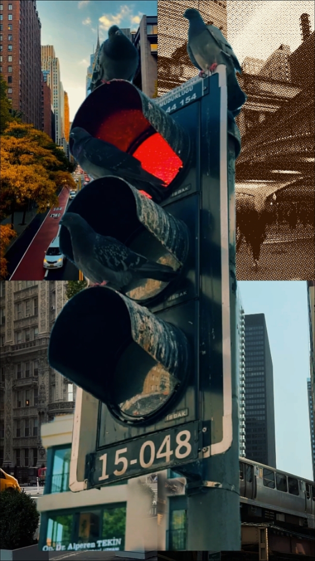 12 Clips Cinématique 