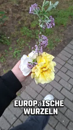 Wurzeln