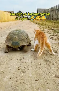 iseng banget si oyen