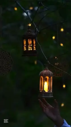 ইসলামিক ভিডিও 