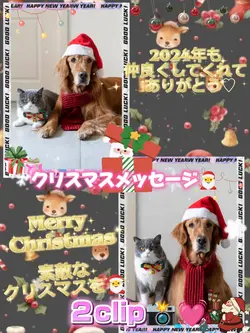 クリスマスメッセージ