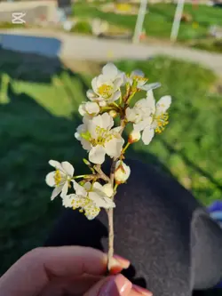 ..