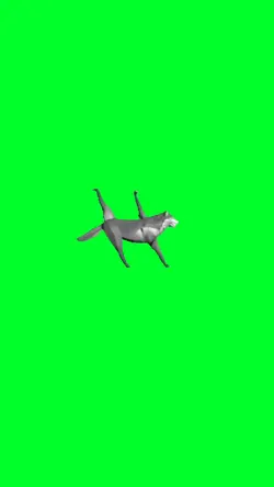 Wolf Walking