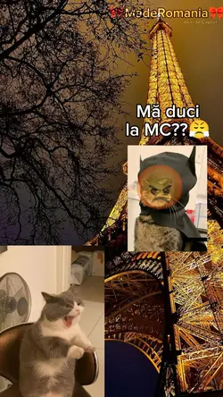 Mă duci la MC?