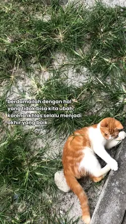 berdamailah dengan h
