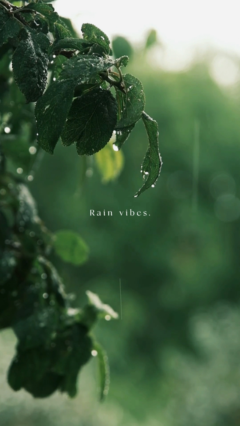 Regen-Vibes