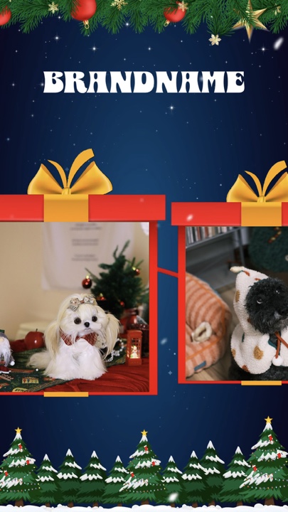 Animal de estimação de natal