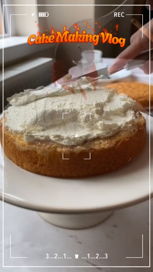 Cake Making Vlog 