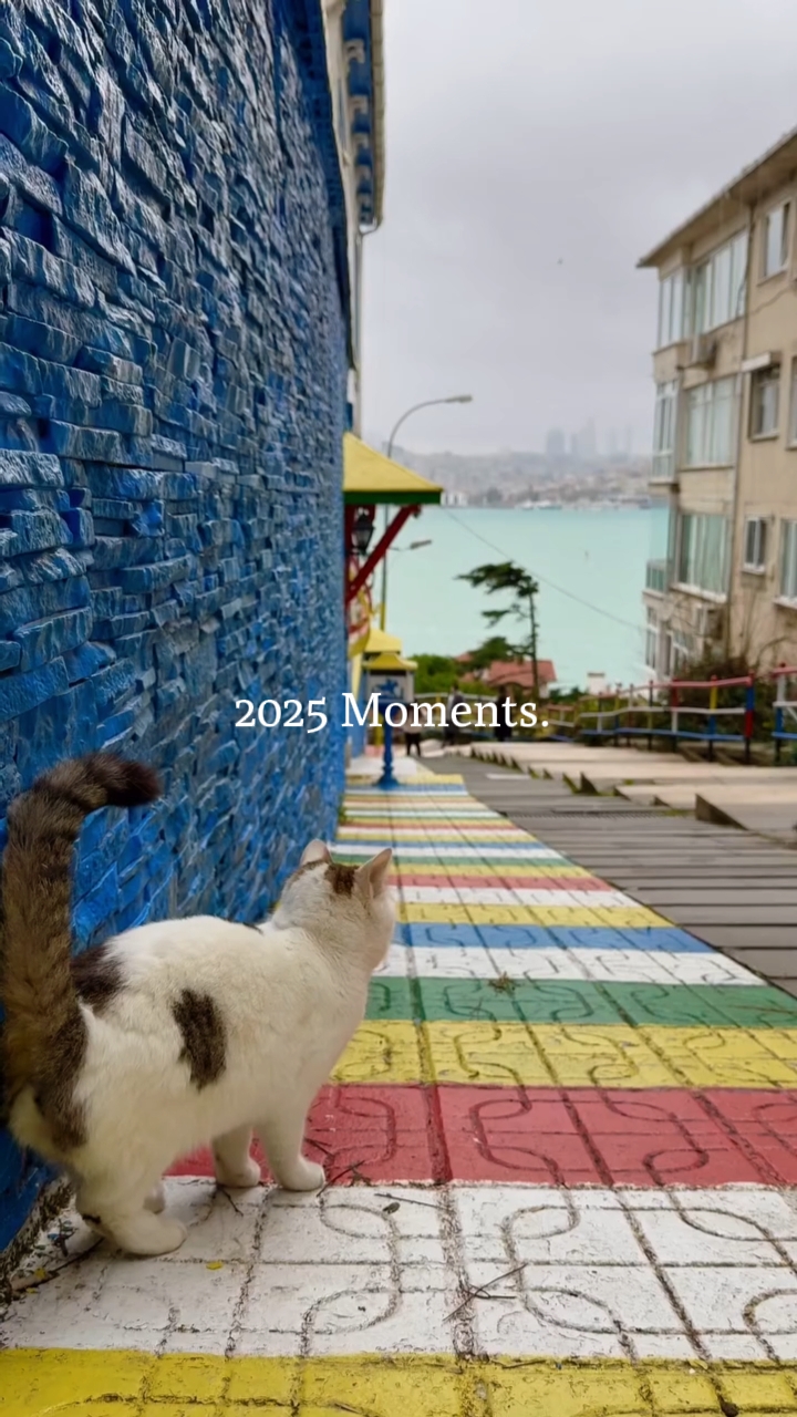 Momentos 2025. 