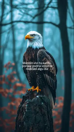 Mantén vivo tu sueño