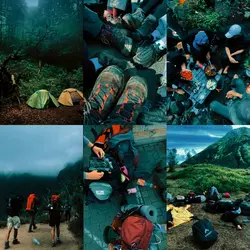 6pict