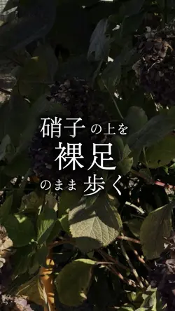 JANE DONE 歌詞 4クリップ