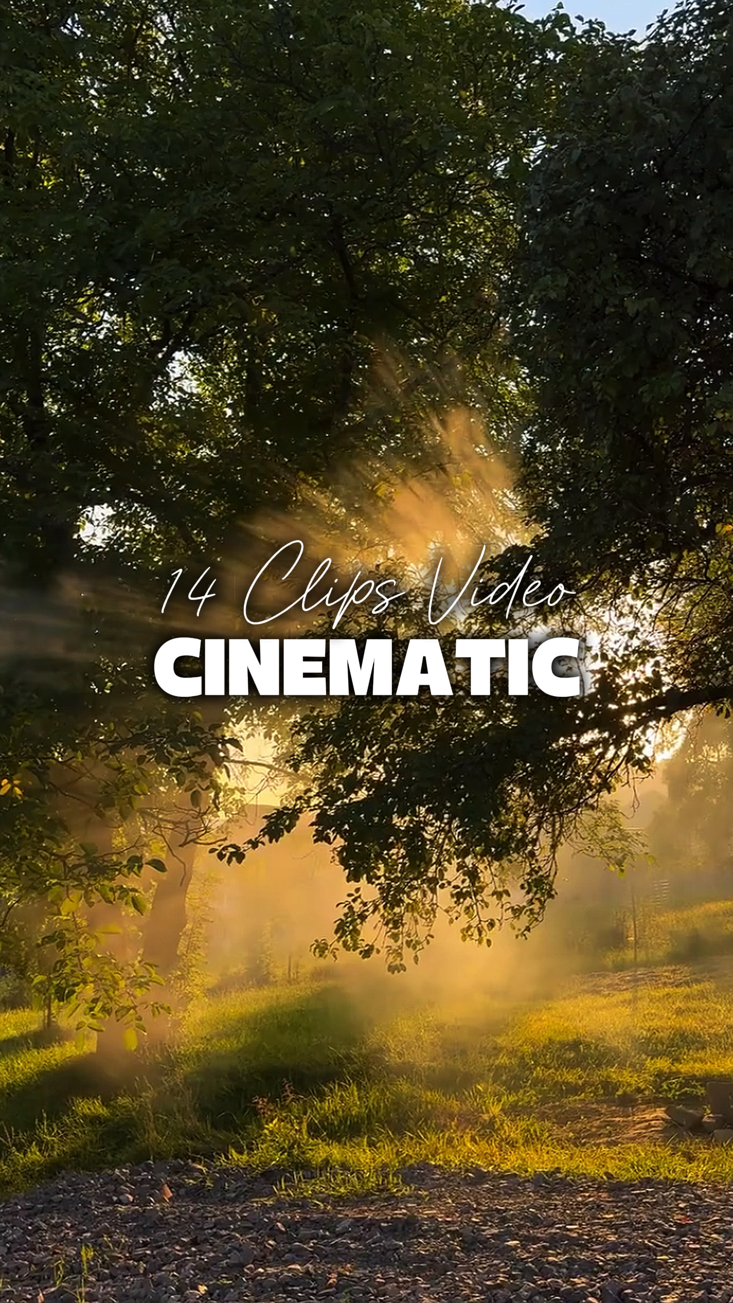 14 Videos Cinematic 