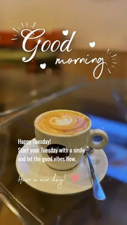 Happy Tuesday 🤍