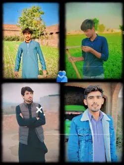 Brothers 