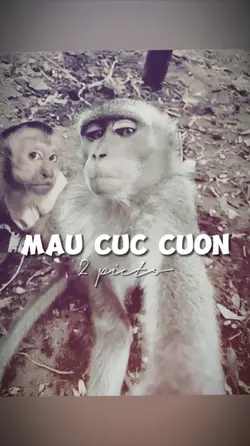 2 ẢNH GIẬT GIẬT CHÁY