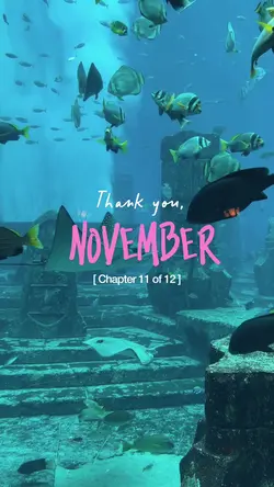 Thank you, November