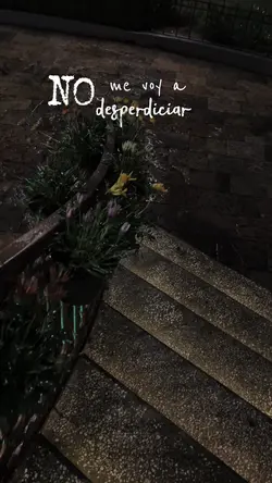 Llegaré 