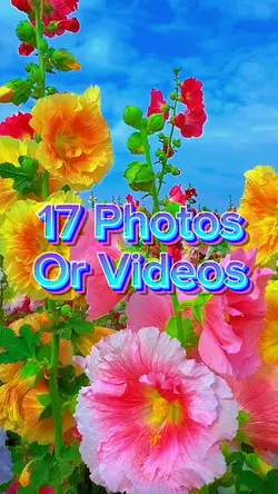 17 Photo Slides