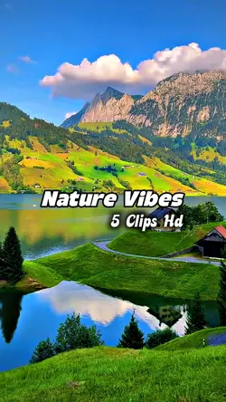 NATURE VIBES