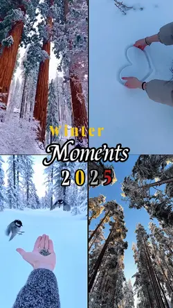 Winter Moments