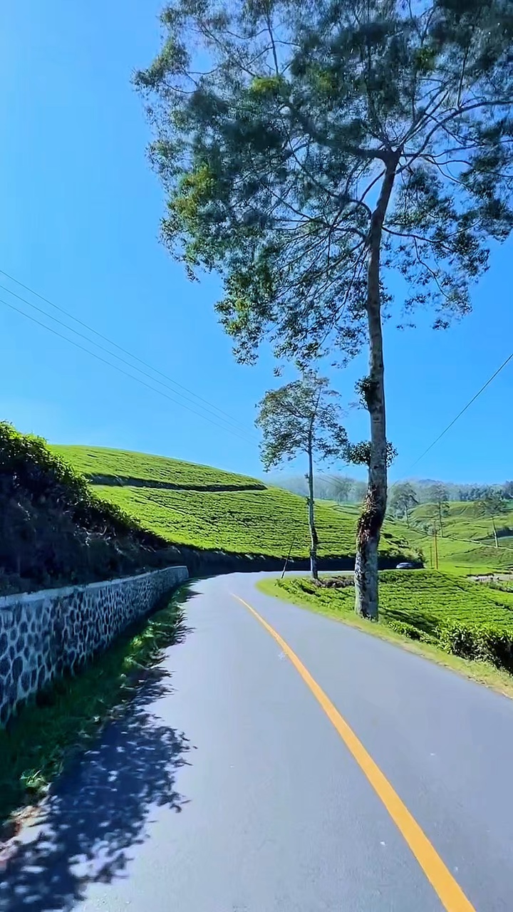 8 clips video road 